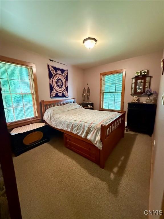 3805 State Highway 80, Columbus, NY 13460 - carpeted bedroom with multiple windows