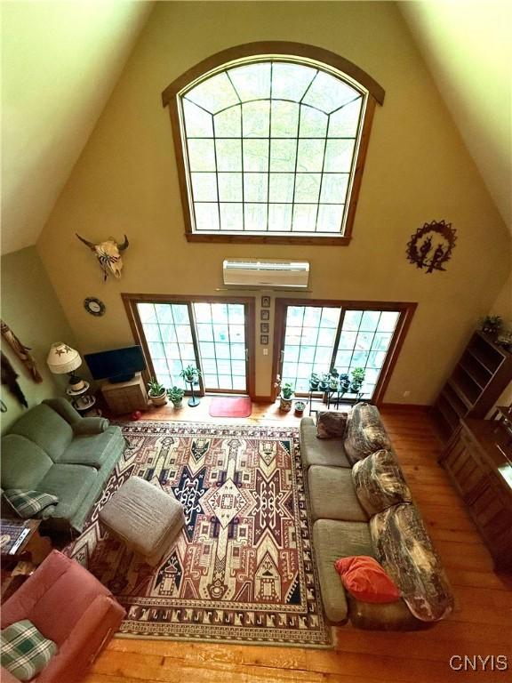 3805 State Highway 80, Columbus, NY 13460 - living room featuring high vaulted ceiling and wood finished floors