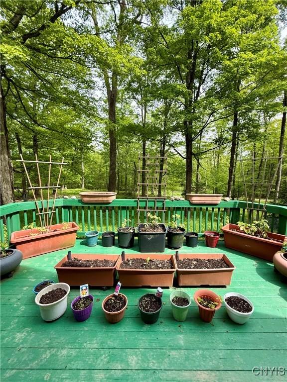 3805 State Highway 80, Columbus, NY 13460 - view of wooden deck