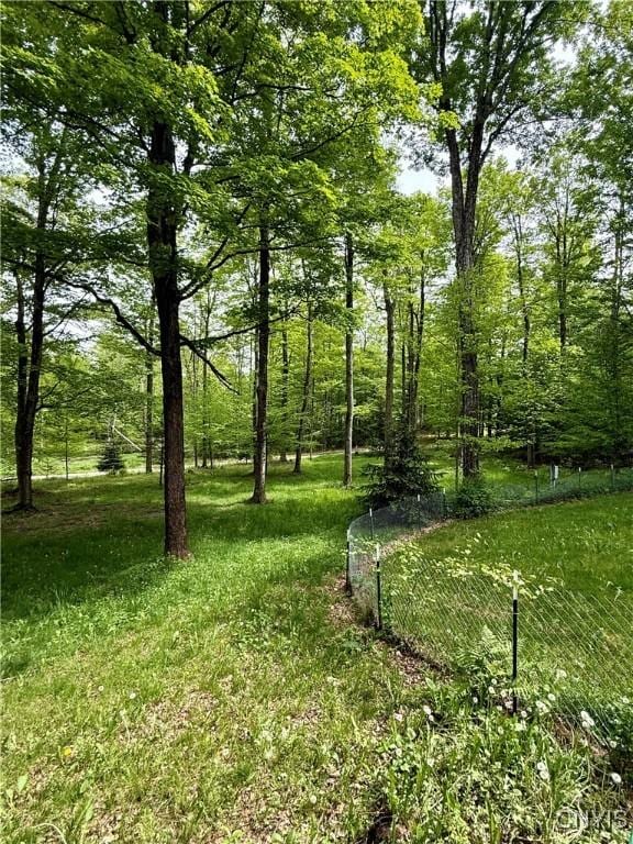 3805 State Highway 80, Columbus, NY 13460 - view of yard