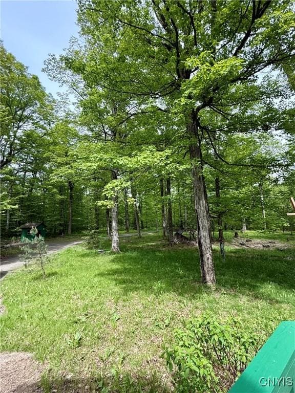 3805 State Highway 80, Columbus, NY 13460 - view of yard