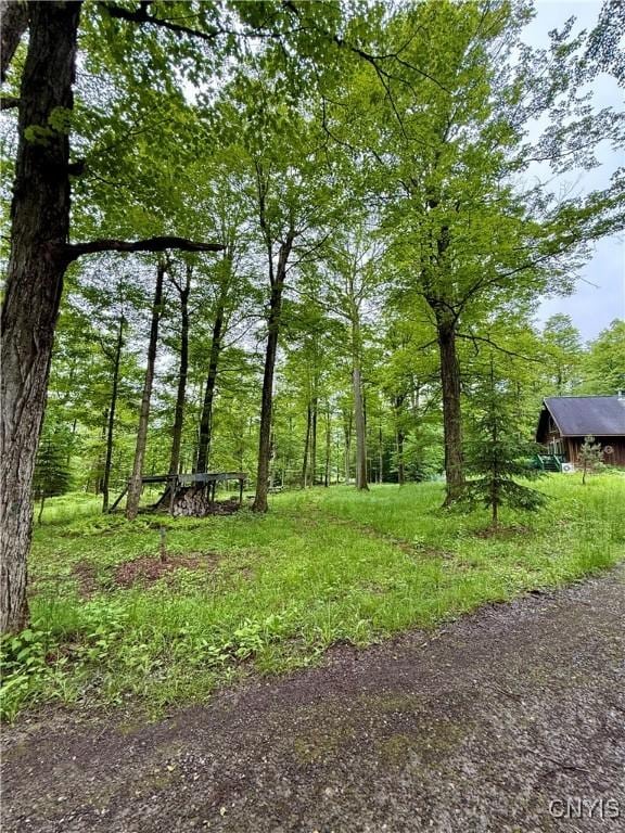 3805 State Highway 80, Columbus, NY 13460 - view of yard