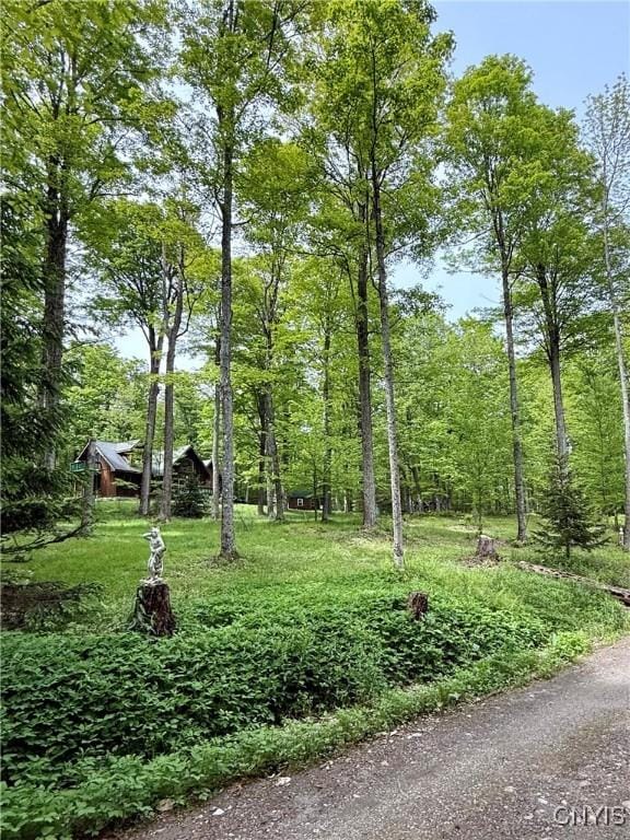 3805 State Highway 80, Columbus, NY 13460 - view of yard
