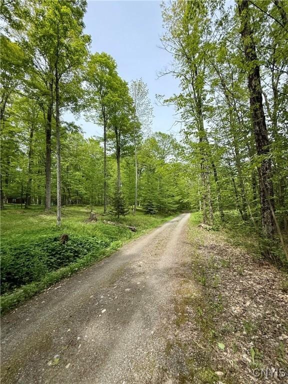 3805 State Highway 80, Columbus, NY 13460 - view of road with a view of trees