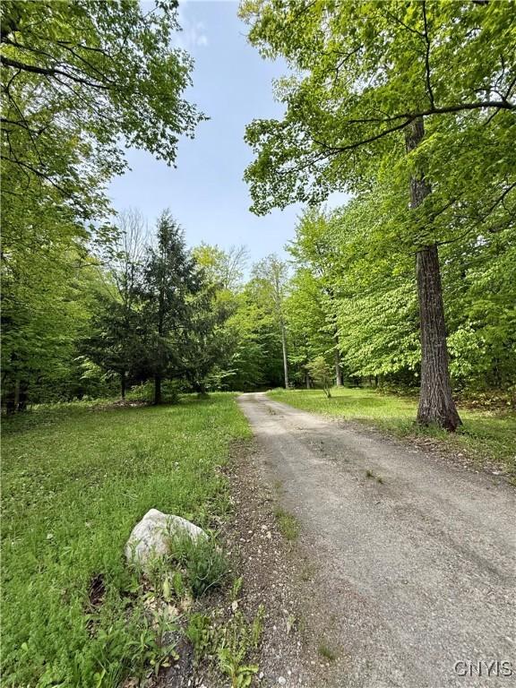 3805 State Highway 80, Columbus, NY 13460 - view of dirt / gravel road with a forest view