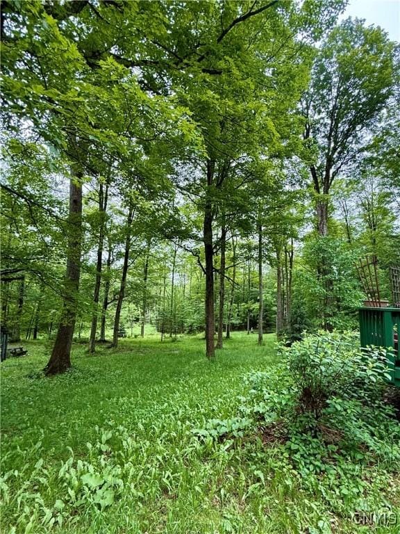 3805 State Highway 80, Columbus, NY 13460 - view of yard