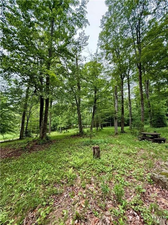 3805 State Highway 80, Columbus, NY 13460 - view of yard