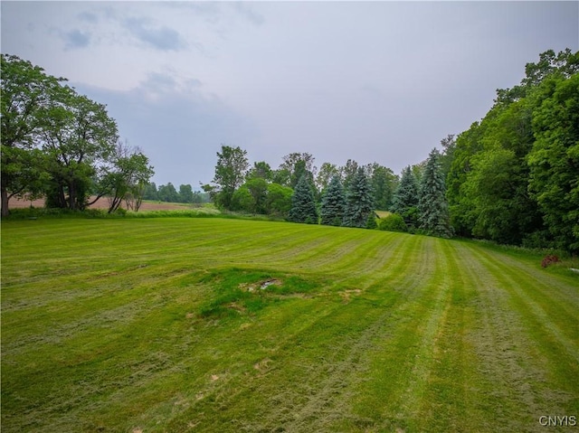 3871 Skyline Dr, Kirkland, NY 13323 - view of green lawn featuring a rural view