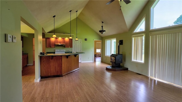 1547 Great Gully Rd, Springport, NY 13160 - kitchen featuring a wood stove, wood finished floors, high vaulted ceiling, a kitchen bar, and under cabinet range hood