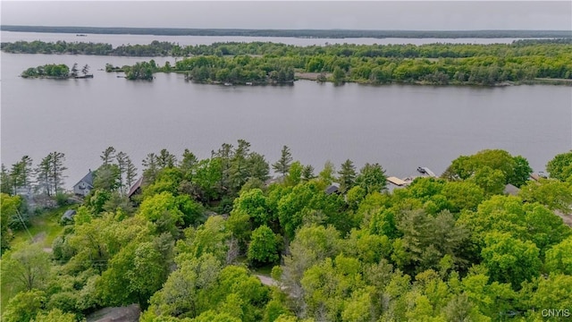 48785 Bamerick Rd, Alexandria, NY 13679 - bird's eye view of a nearby body of water and a heavily wooded area