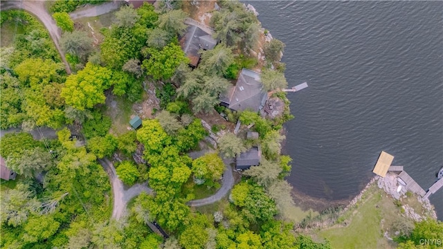 48785 Bamerick Rd, Alexandria, NY 13679 - aerial view of property and surrounding area with a nearby body of water