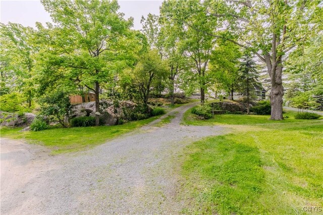 48785 Bamerick Rd, Alexandria, NY 13679 - view of dirt / gravel road