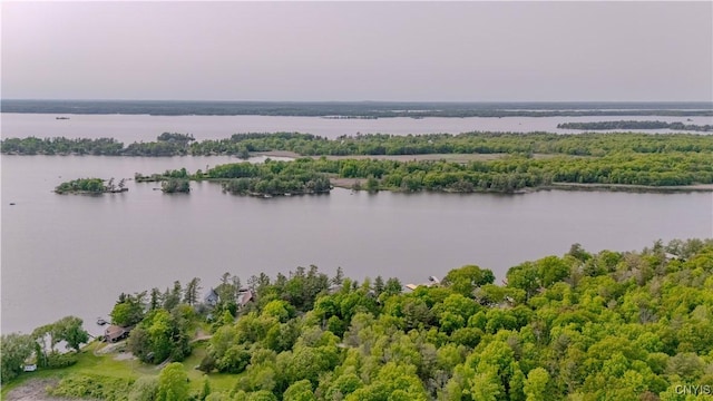 48785 Bamerick Rd, Alexandria, NY 13679 - bird's eye view of a large body of water and a heavily wooded area
