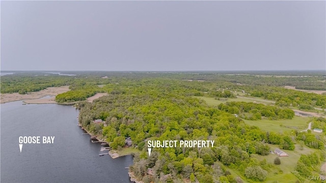 48785 Bamerick Rd, Alexandria, NY 13679 - aerial overview of property's location featuring a forest and a nearby body of water
