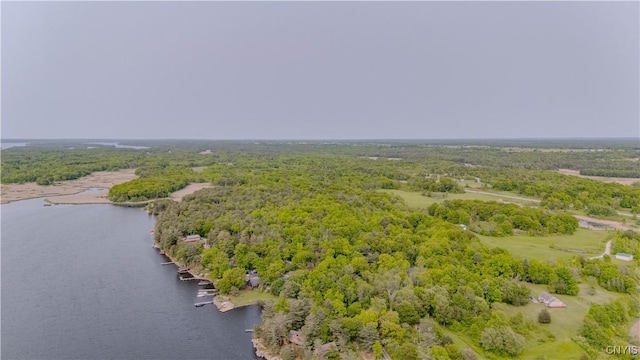 48785 Bamerick Rd, Alexandria, NY 13679 - bird's eye view of a forest and a nearby body of water