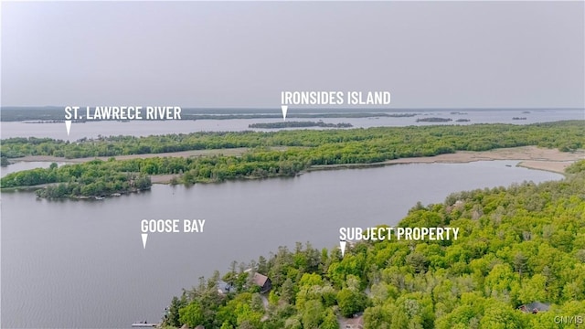 48785 Bamerick Rd, Alexandria, NY 13679 - water view with a forest