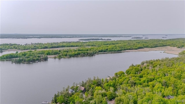 48785 Bamerick Rd, Alexandria, NY 13679 - aerial view of a large body of water and a heavily wooded area