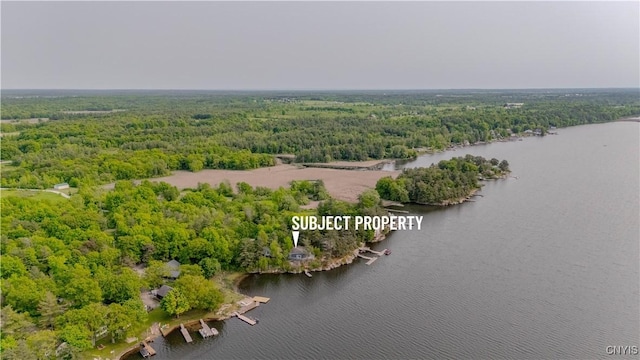48785 Bamerick Rd, Alexandria, NY 13679 - bird's eye view of a heavily wooded area and a nearby body of water