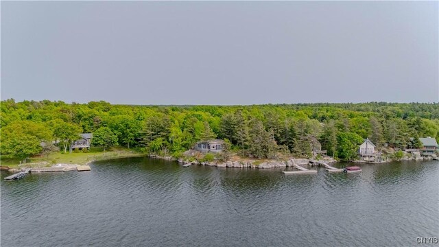 48785 Bamerick Rd, Alexandria, NY 13679 - drone / aerial view of a heavily wooded area and a nearby body of water