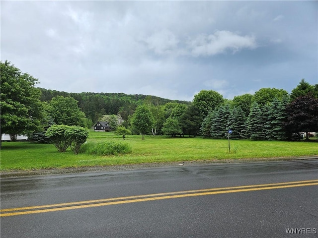 6546 Maples Rd, Ellicottville, NY 14731 - photo 1