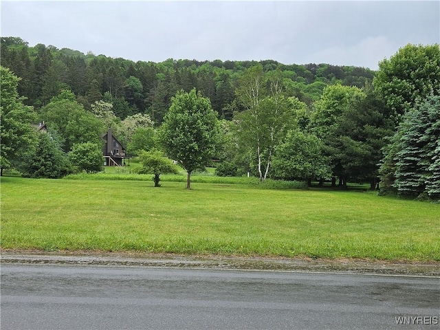 6546 Maples Rd, Ellicottville, NY 14731 - photo 2