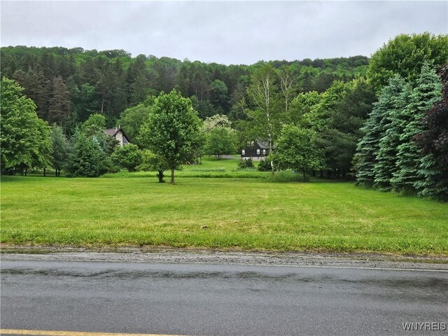 6546 Maples Rd, Ellicottville, NY 14731 - photo 4
