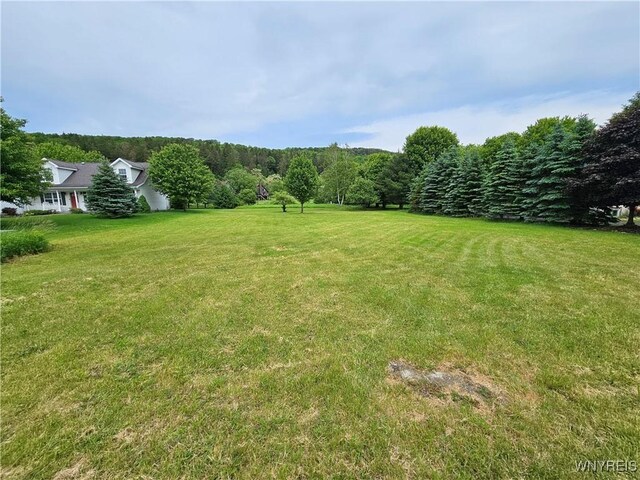 6546 Maples Rd, Ellicottville, NY 14731 - photo 5