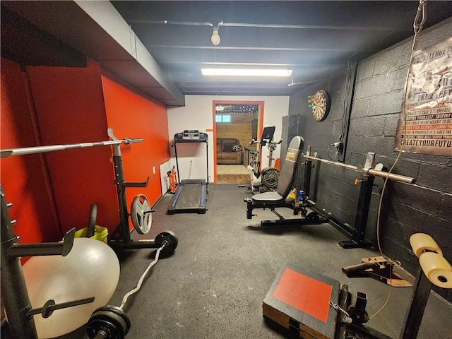 1305 Wyncoop Creek Rd, Chemung, NY 14825 - exercise area featuring concrete block wall