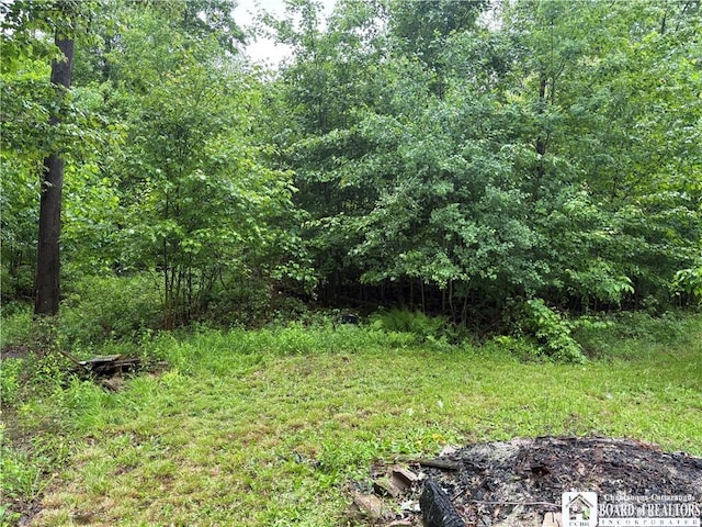 Scott Rd, Carroll, NY 14738