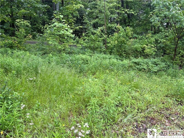 Scott Rd, Carroll, NY 14738