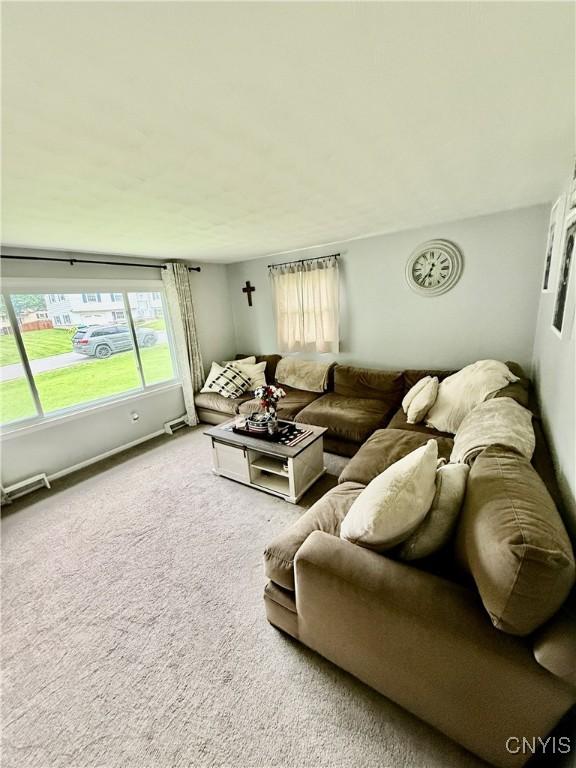2718 Forest Hill Dr, Fleming, NY 13021 - view of carpeted living area