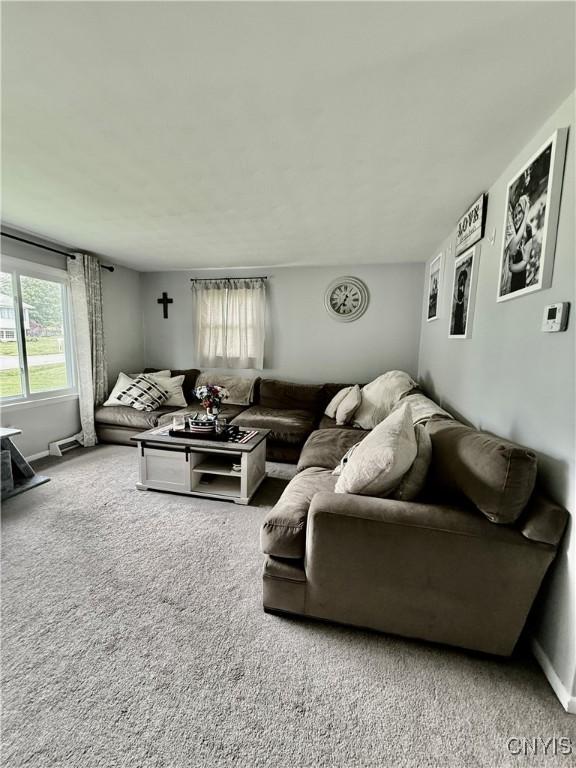 2718 Forest Hill Dr, Fleming, NY 13021 - view of carpeted living area