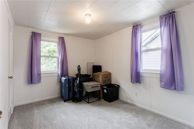 74 Everett St, Greece, NY 14615 - view of carpeted office space