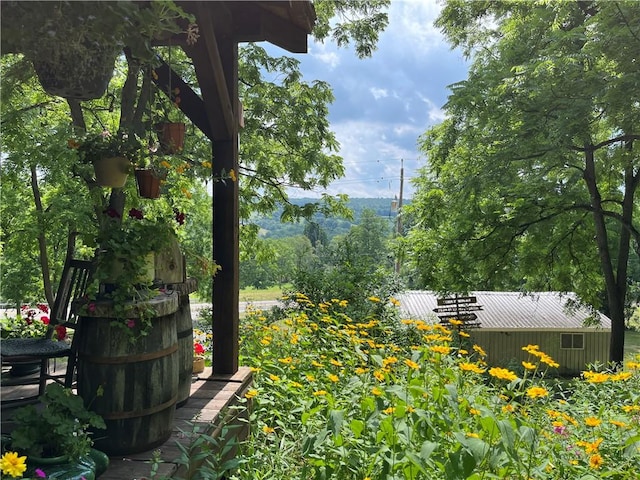 3921 State Route 226, Tyrone, NY 14837 - view of yard
