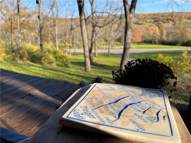 3921 State Route 226, Tyrone, NY 14837 - view of wooden deck