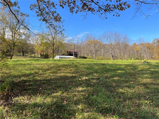 3921 State Route 226, Tyrone, NY 14837 - view of grassy yard with a forest view