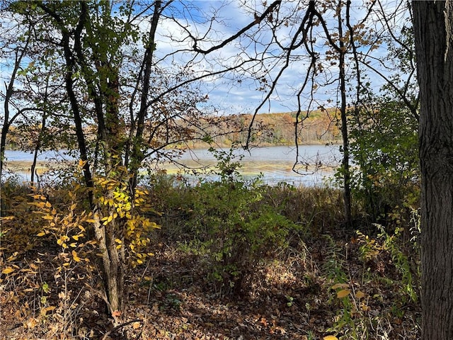 3921 State Route 226, Tyrone, NY 14837 - water view featuring a forest