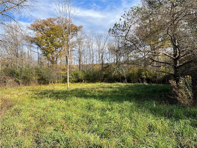3921 State Route 226, Tyrone, NY 14837 - view of yard