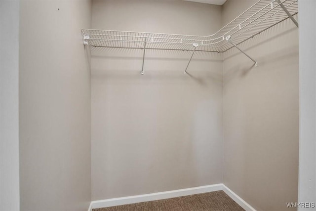 836 Upper Mountain Rd, Lewiston, NY 14092 - spacious closet with carpet floors