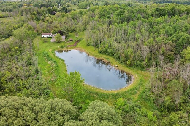 7369 County Line Rd, Sennett, NY 13021 - photo 40