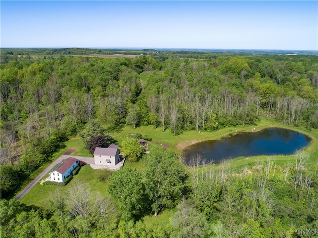 7369 County Line Rd, Sennett, NY 13021 - photo 5