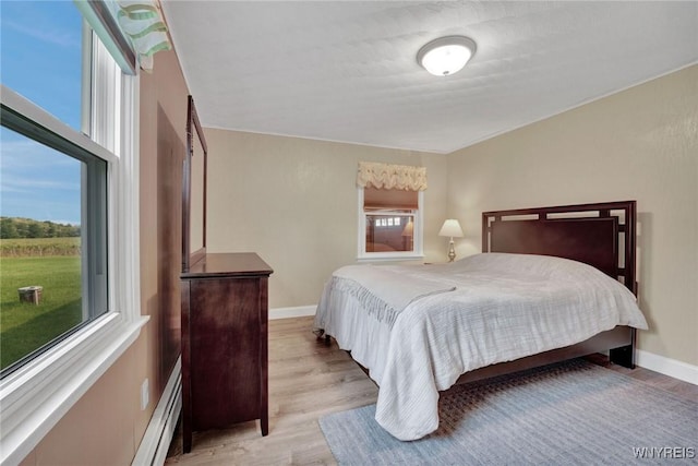 2194 Rte 39, Sheridan, NY 14062 - bedroom with multiple windows, light wood finished floors, and baseboards