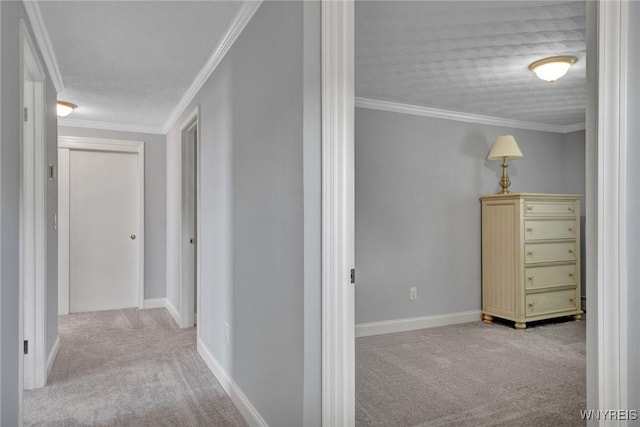 2194 Rte 39, Sheridan, NY 14062 - hall with carpet flooring, baseboards, ornamental molding, and a textured ceiling