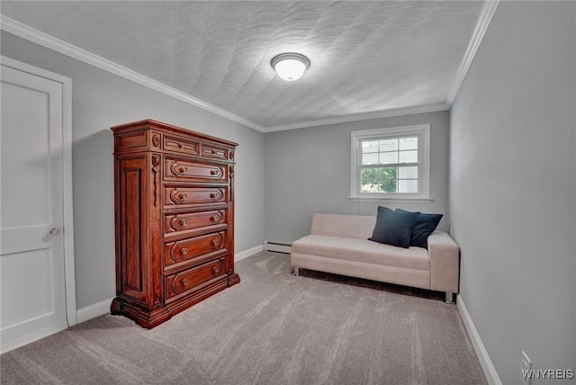 2194 Rte 39, Sheridan, NY 14062 - sitting room with a baseboard heating unit, carpet, ornamental molding, and baseboards