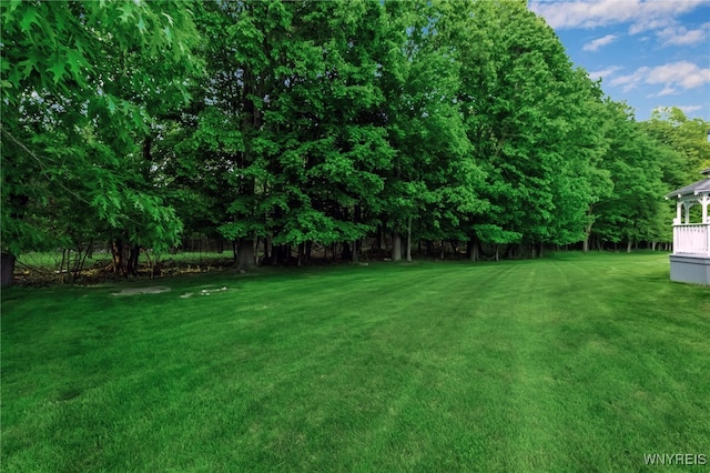 6017 Corinne Ln, Clarence, NY 14032 - view of green lawn