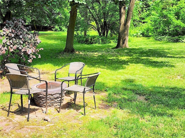 508 Countess Dr, Henrietta, NY 14586 - view of yard