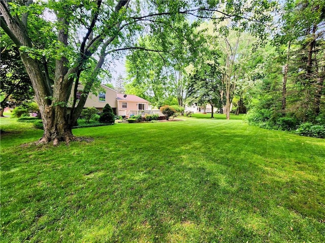 508 Countess Dr, Henrietta, NY 14586 - view of green lawn
