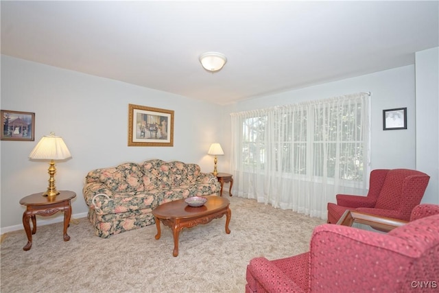 12 Sparrowbush Rd S, S, NY 12110 - living room with carpet and baseboards