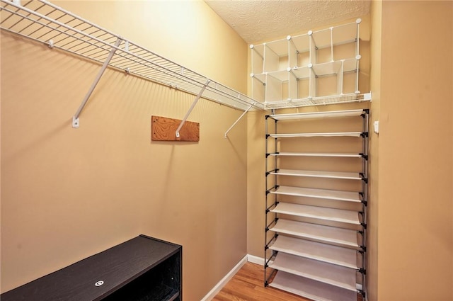 53 Toni Ter, Chili, NY 14624 - walk in closet with wood finished floors