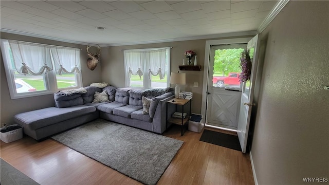 11 Parkview Ct, Arcade, NY 14009 - living room with crown molding and light wood-style floors